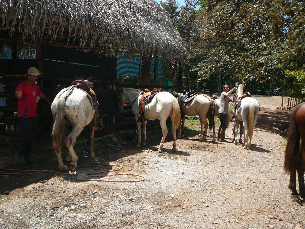 Casas Buenas Brisas Villa Ojochal Ruang foto