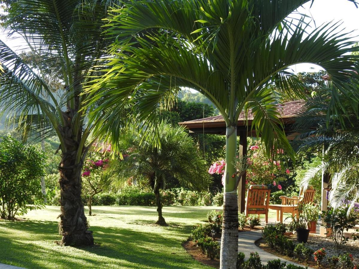 Casas Buenas Brisas Villa Ojochal Bagian luar foto
